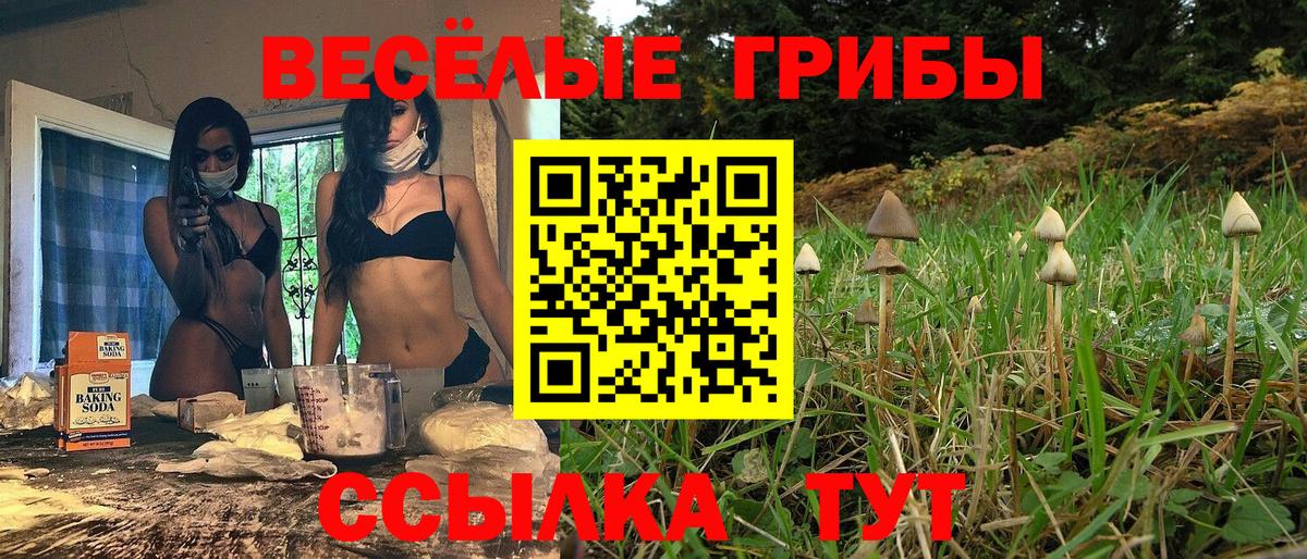 продажа наркотиков  Псилоцибиновые грибы ЛСД  Вход с VPN  Верхняя Пышма 